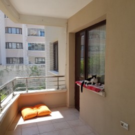 Kedi Güvenlik Filesi